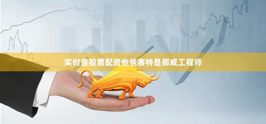 实时查股票配资他爸赛特是挪威工程师