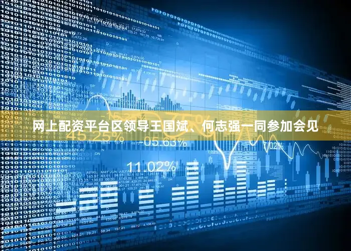 网上配资平台区领导王国斌、何志强一同参加会见