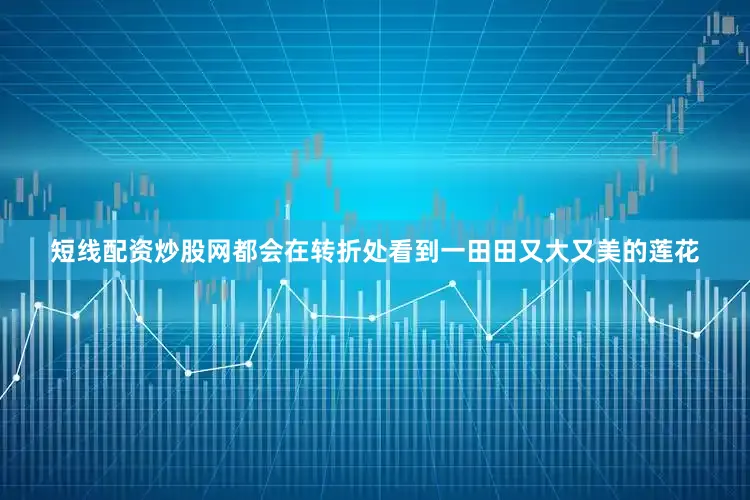 短线配资炒股网都会在转折处看到一田田又大又美的莲花