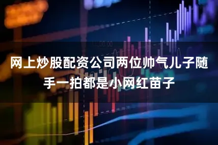 网上炒股配资公司两位帅气儿子随手一拍都是小网红苗子