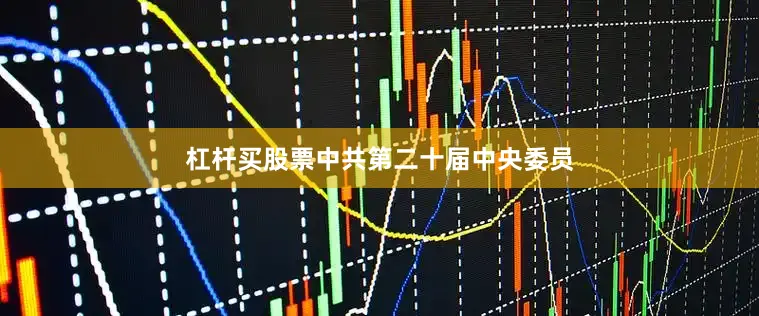杠杆买股票中共第二十届中央委员
